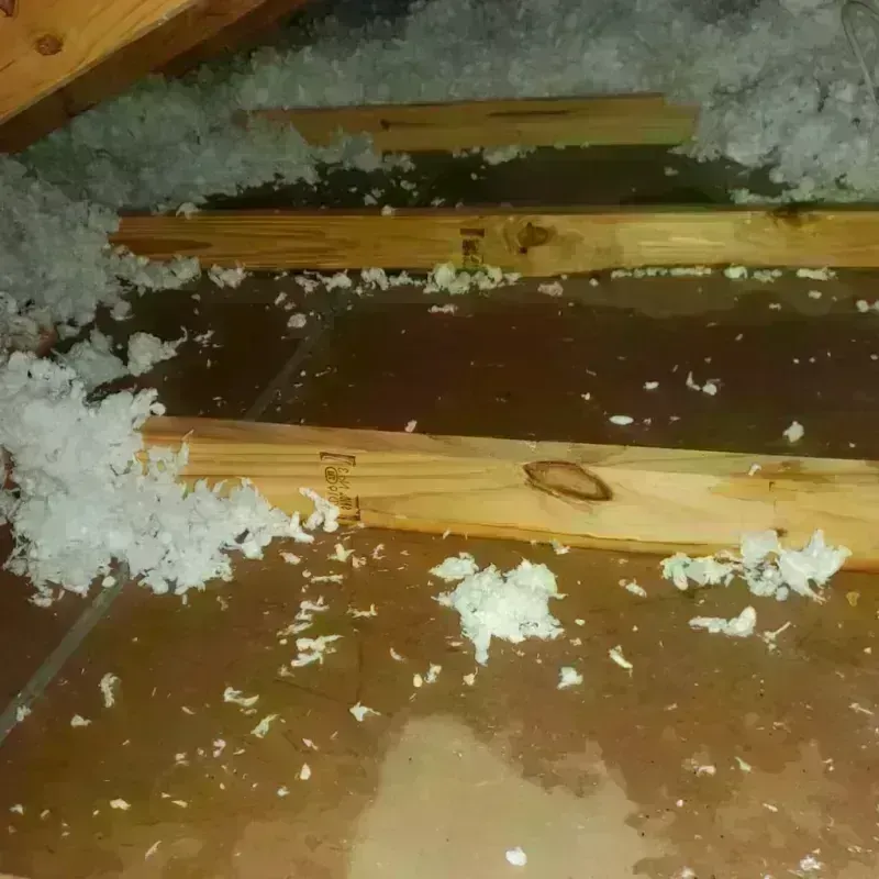 Attic Water Damage in Alpena County, MI